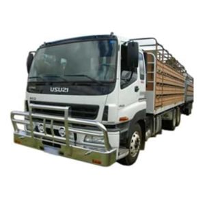 Isuzu Giga E series bullbar 1994 2014