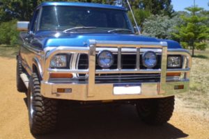 Ford F100 Bullbar