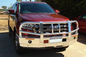 Ford Ranger Everest with Bullbar