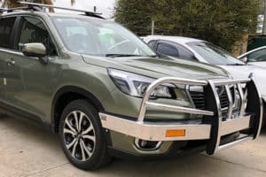 May2019 Forester Dble Cut BB-b