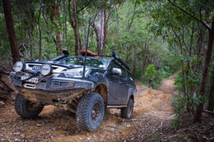 Heres Why Western Australian Drivers Need Bullbars