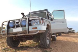 Steel Bullbars – The Economical Choice For Rural Drivers