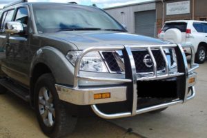 D40 2010 Navara