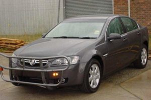 VE Commodore 2006 roobar